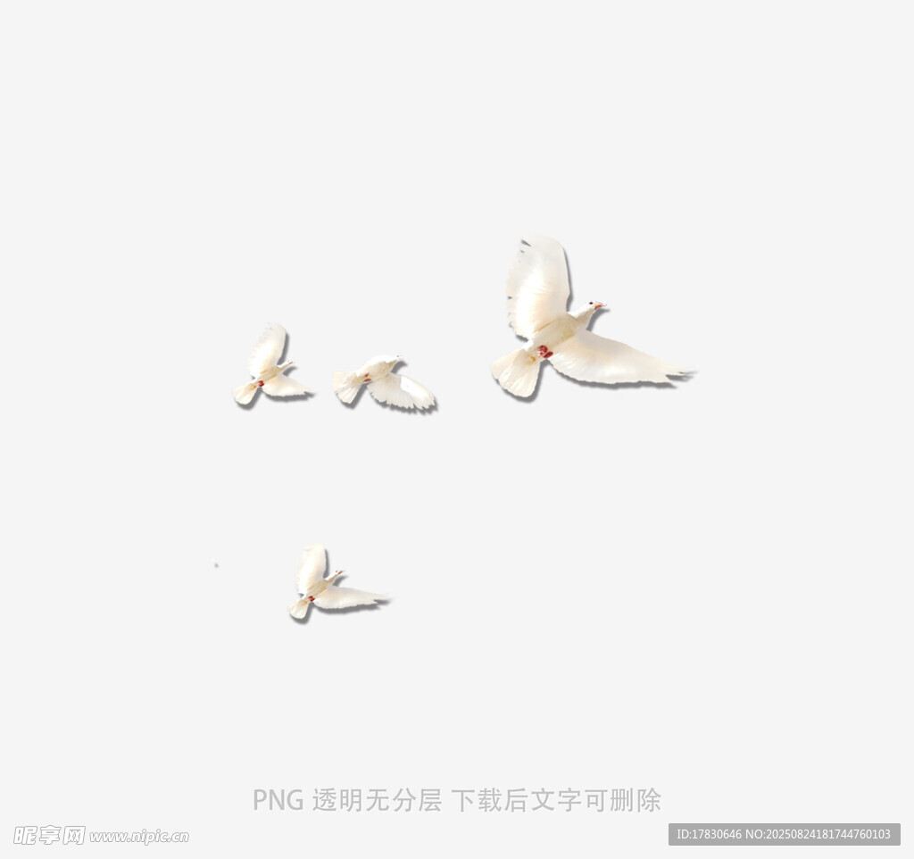 簡約風飛鳥藝術字設計