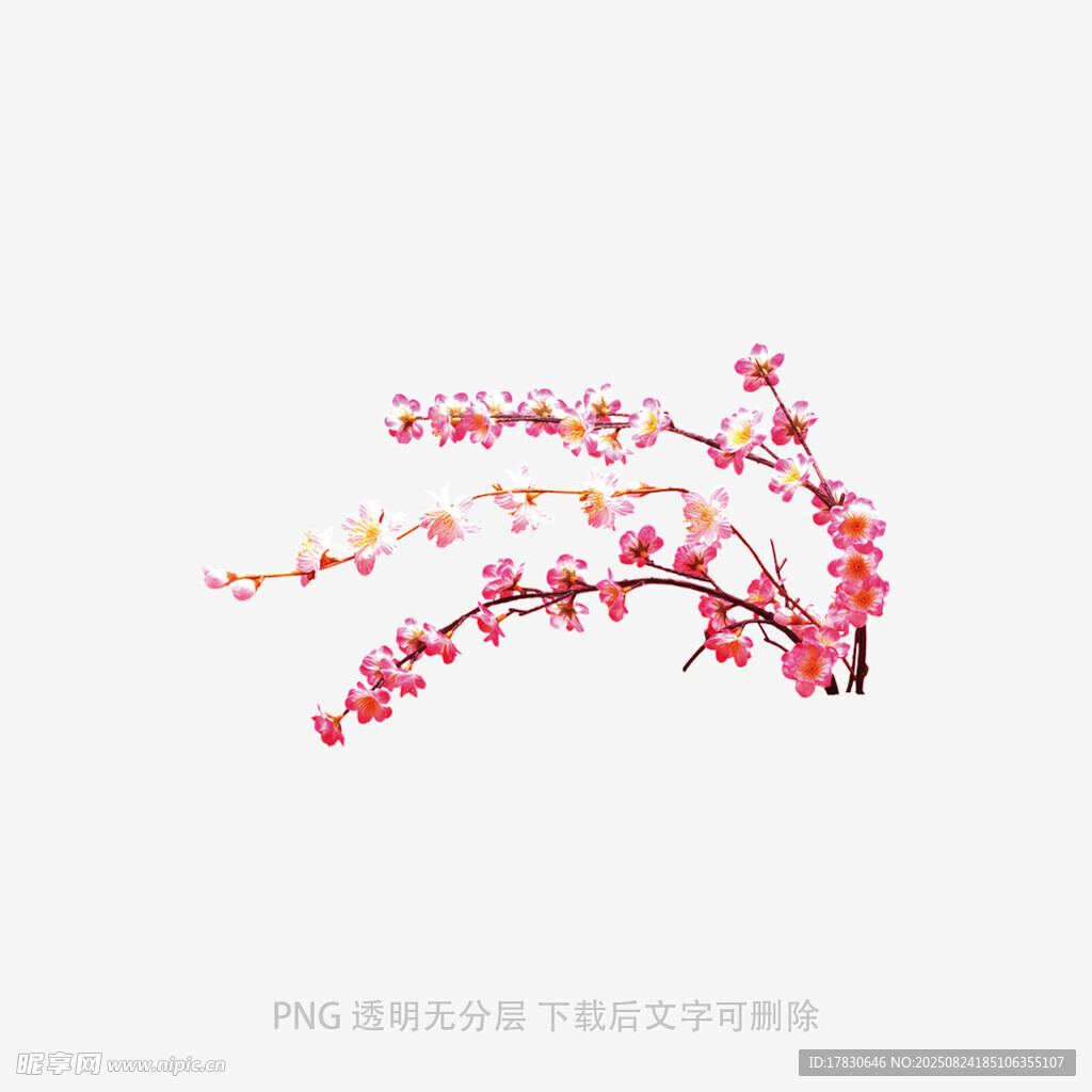 水墨風綻放的粉色花枝