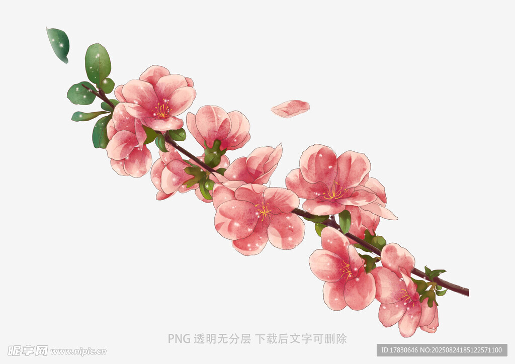 粉色桃花枝