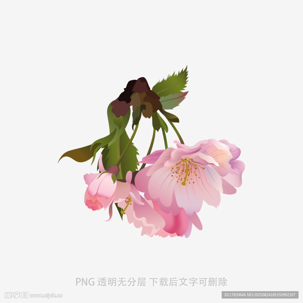 嬌艷粉色櫻花枝