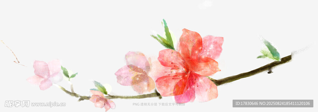 嬌艷桃花枝