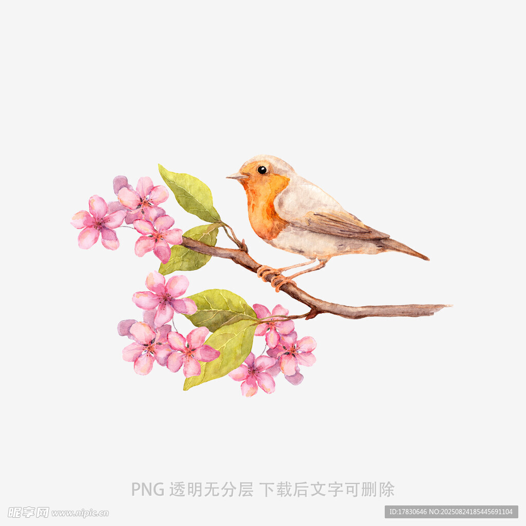 枝頭小鳥伴繁花