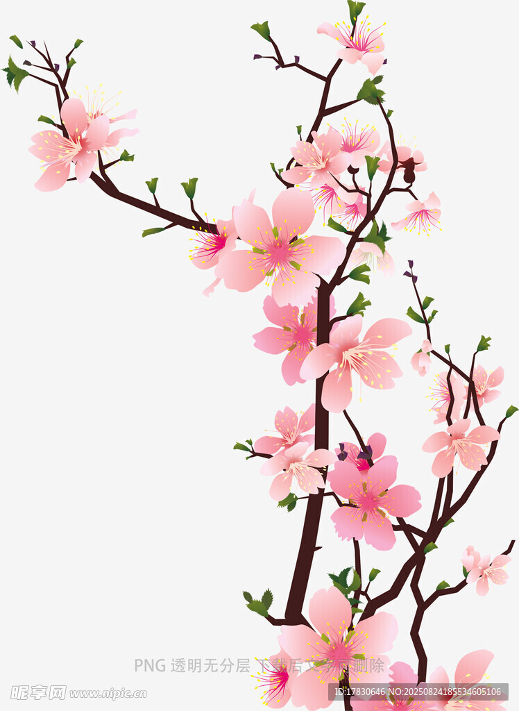 嬌艷粉色桃花枝