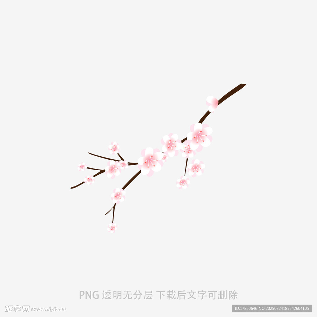 簡約粉色桃花枝插畫