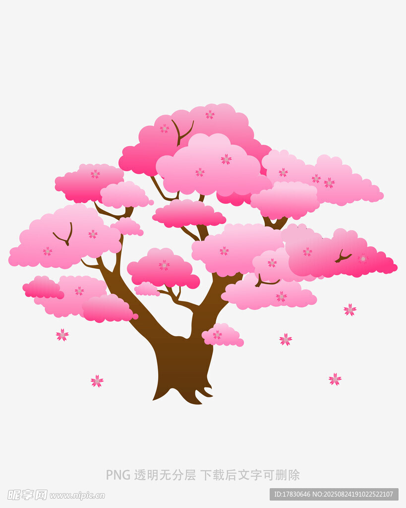 粉色爛漫櫻花樹