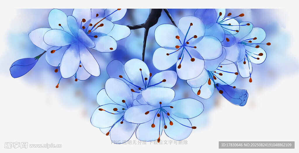 藍(lán)色清新花朵特寫