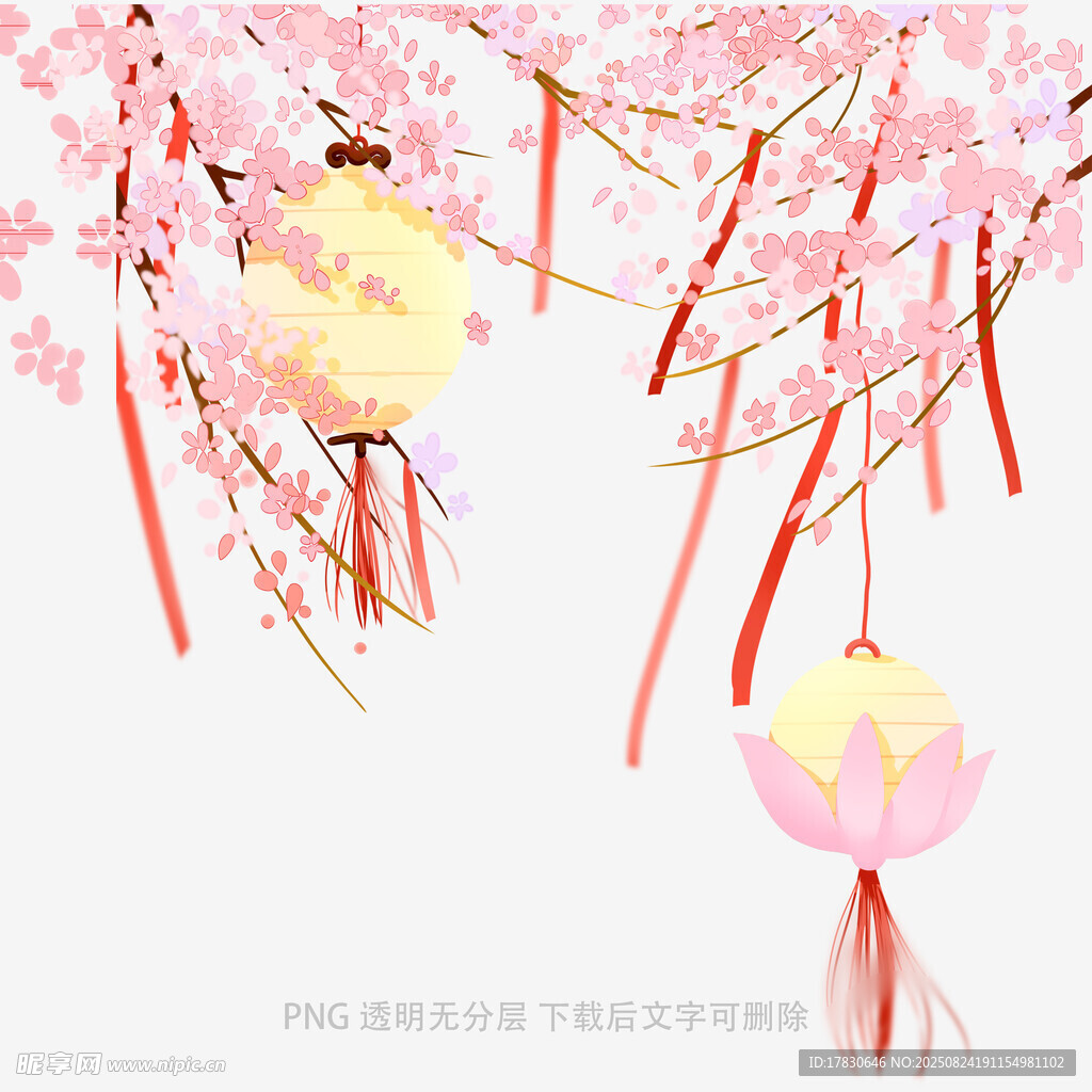 櫻花下的唯美燈籠裝飾