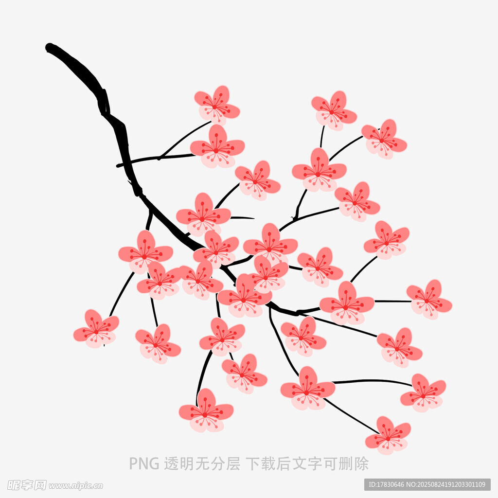 粉色櫻花枝插畫