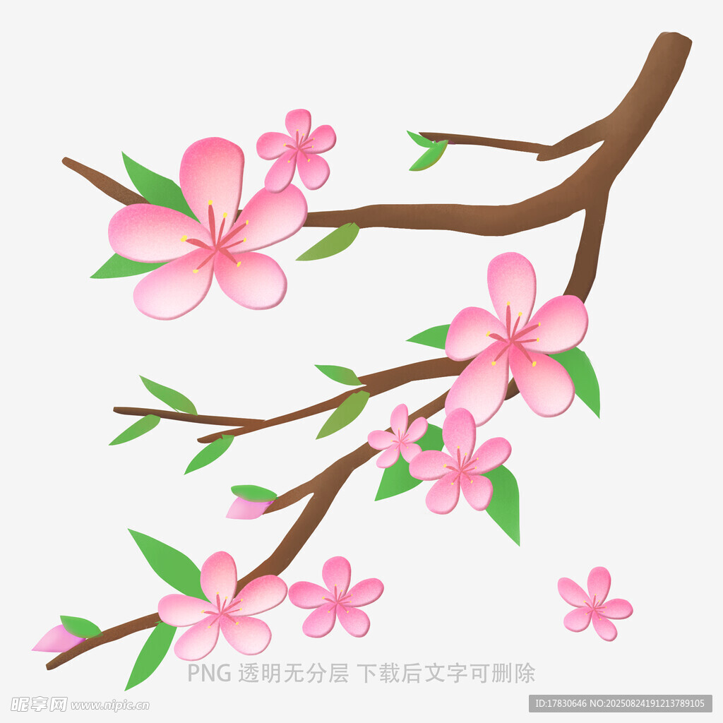 粉色桃花枝插畫