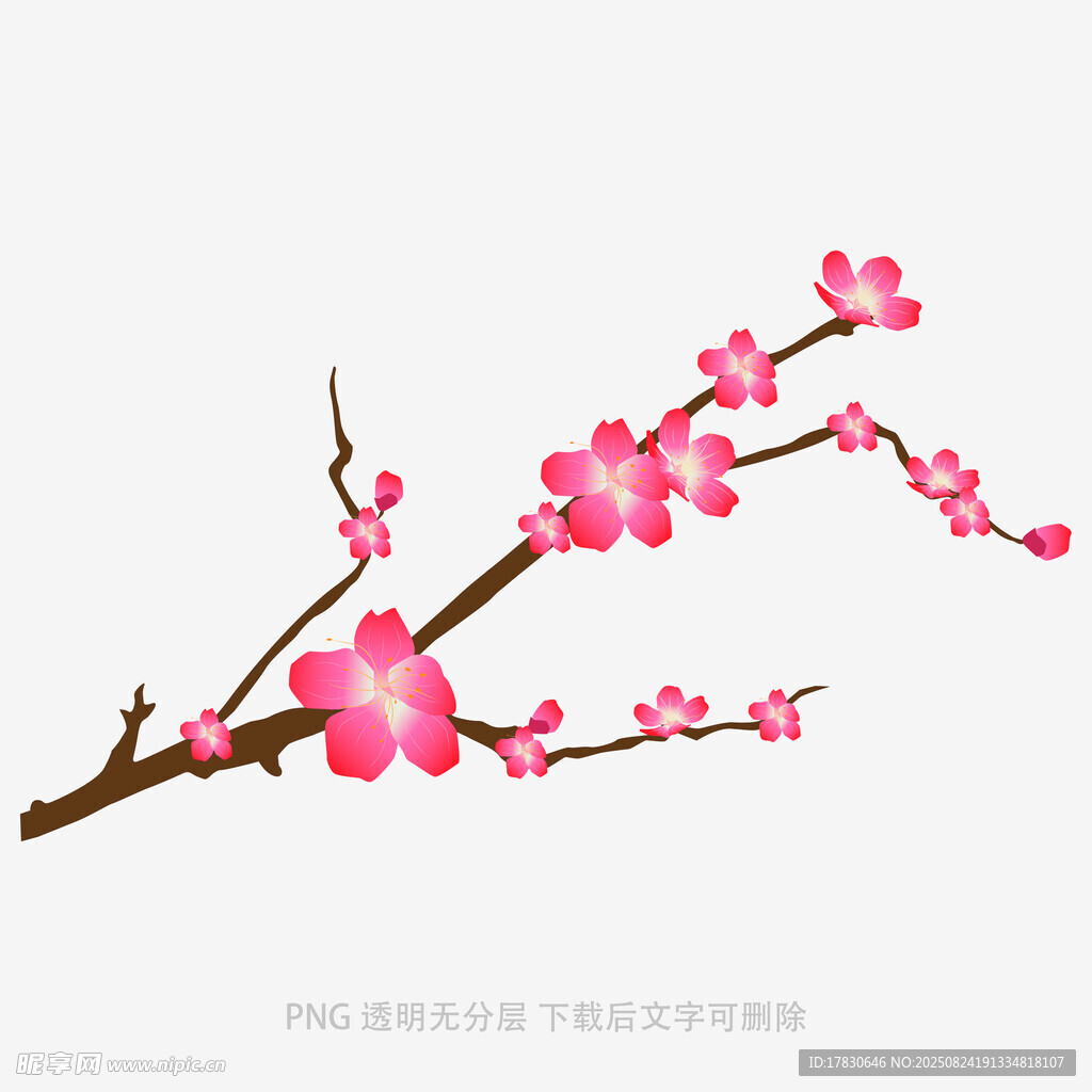 粉色梅花枝插畫(huà)