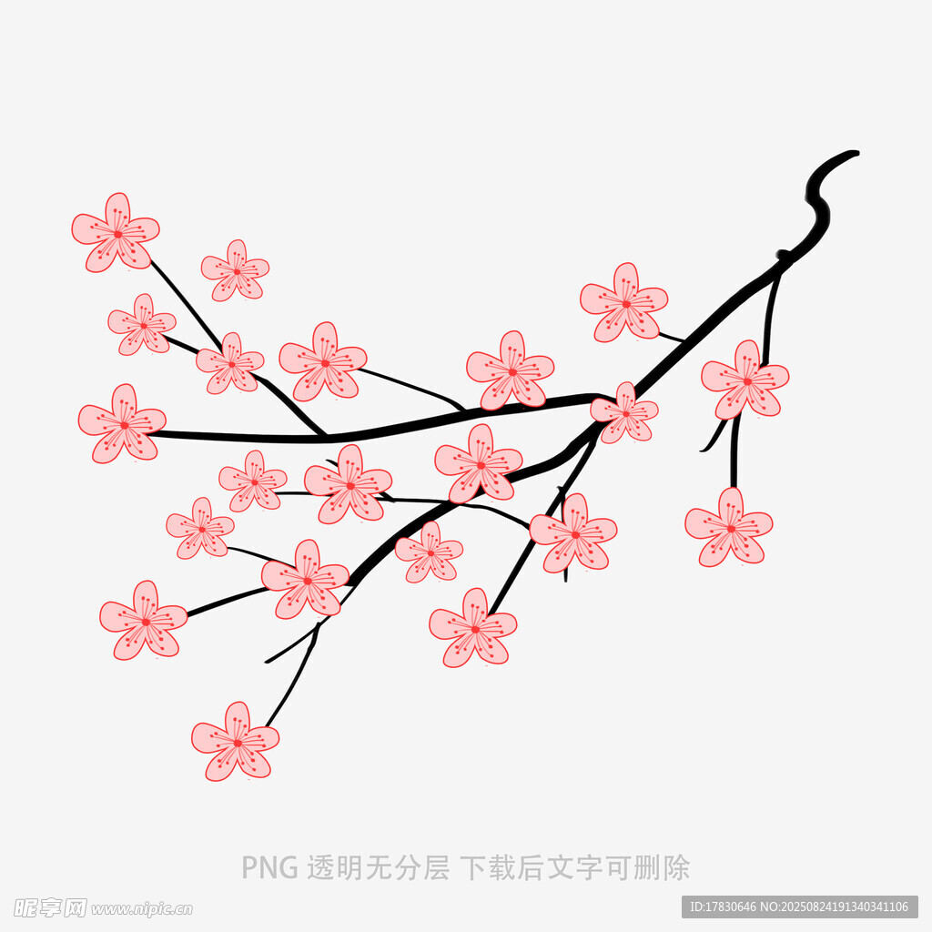 粉色櫻花枝特寫