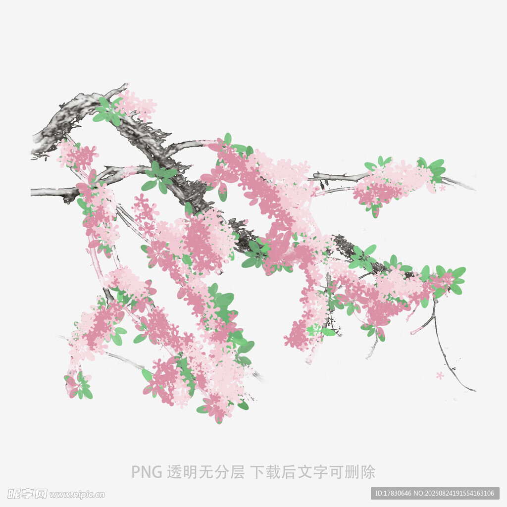 粉色爛漫花枝圖