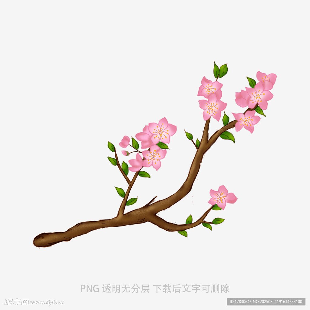 粉色桃花枝插畫
