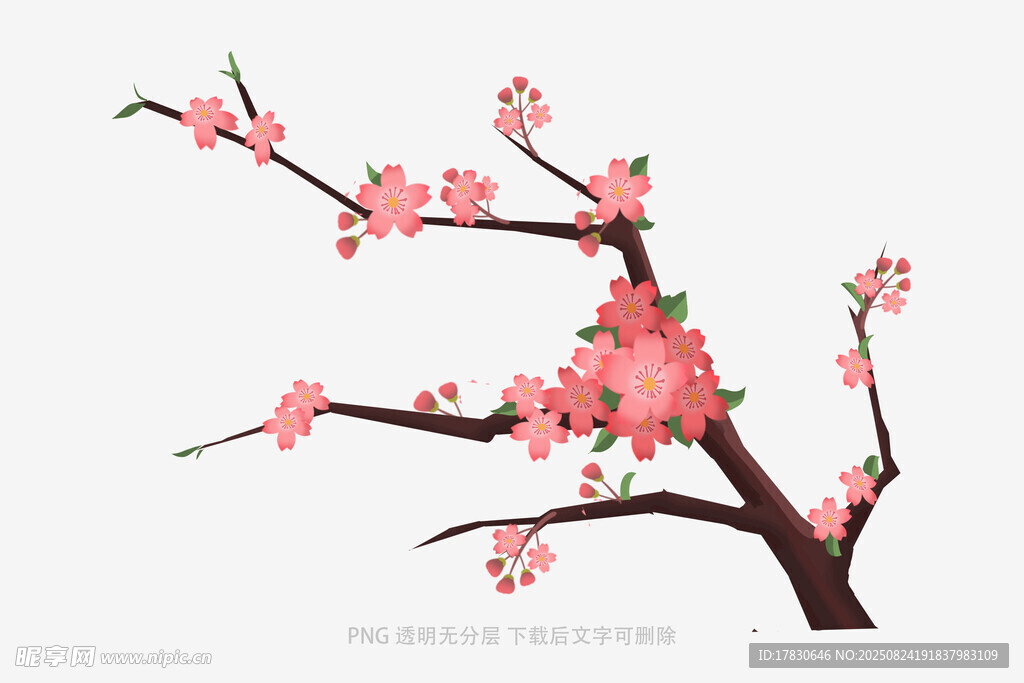 一枝綻放的粉色桃花