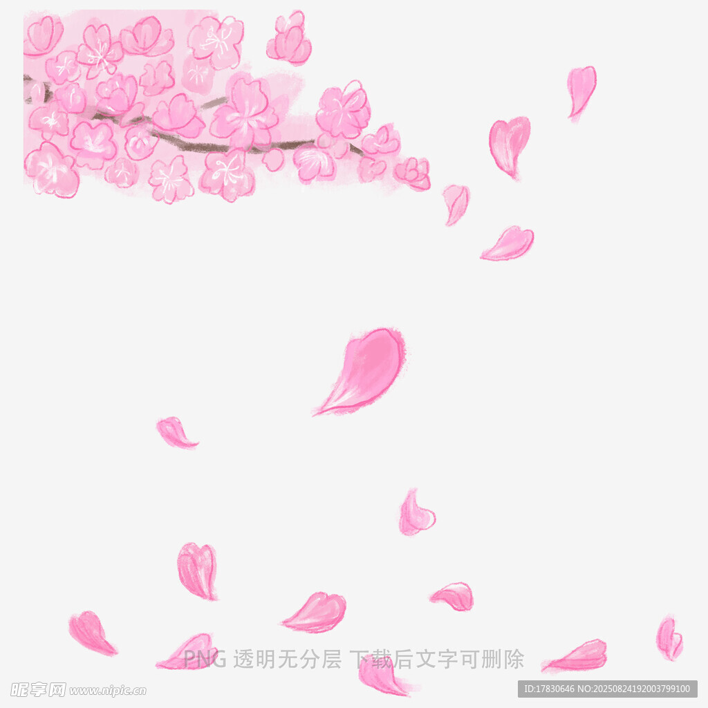 飄落的粉色花瓣唯美畫面