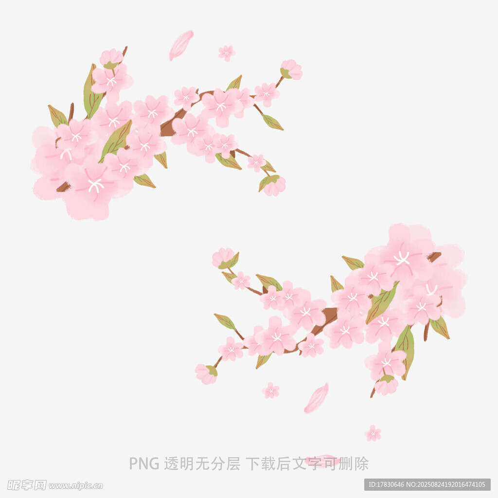 粉色櫻花枝裝飾圖案