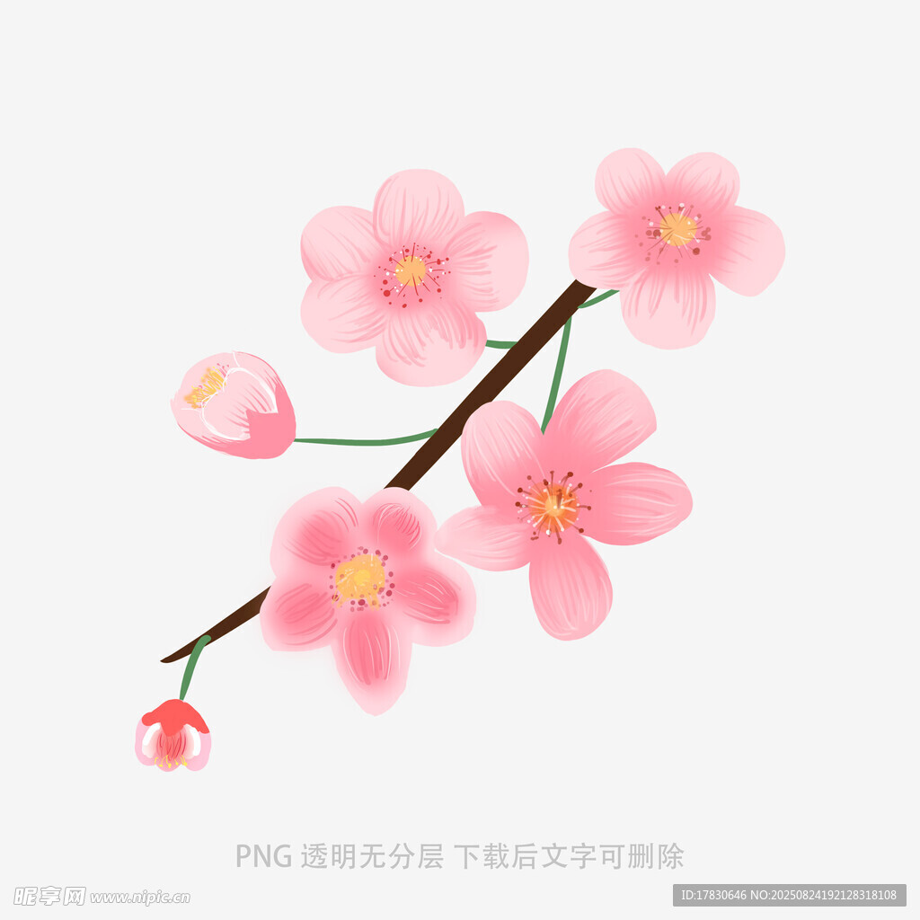 粉色桃花枝插畫