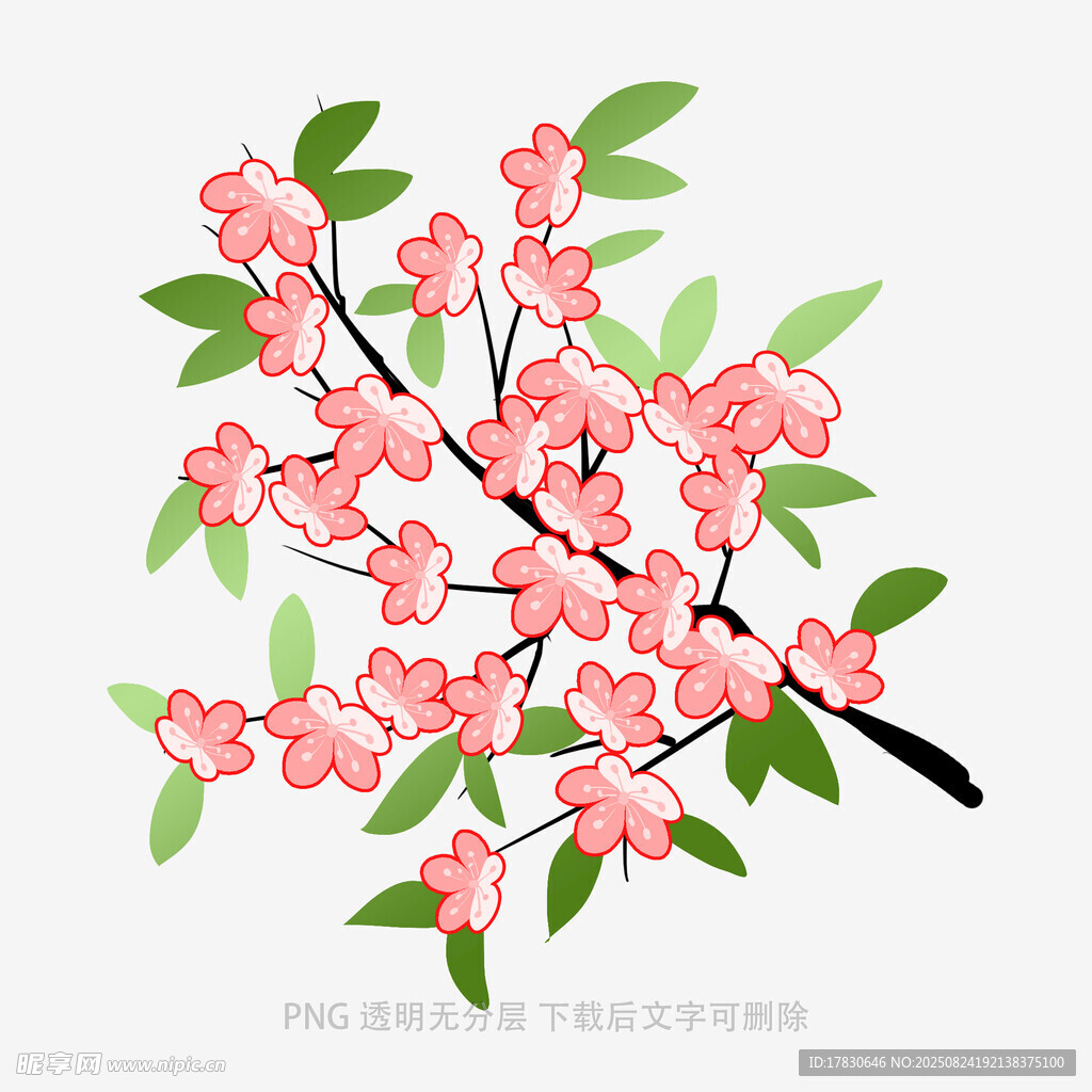 粉色櫻花枝插畫