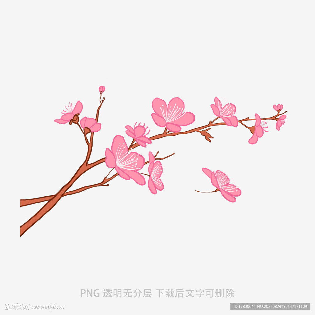 粉色桃花枝插畫