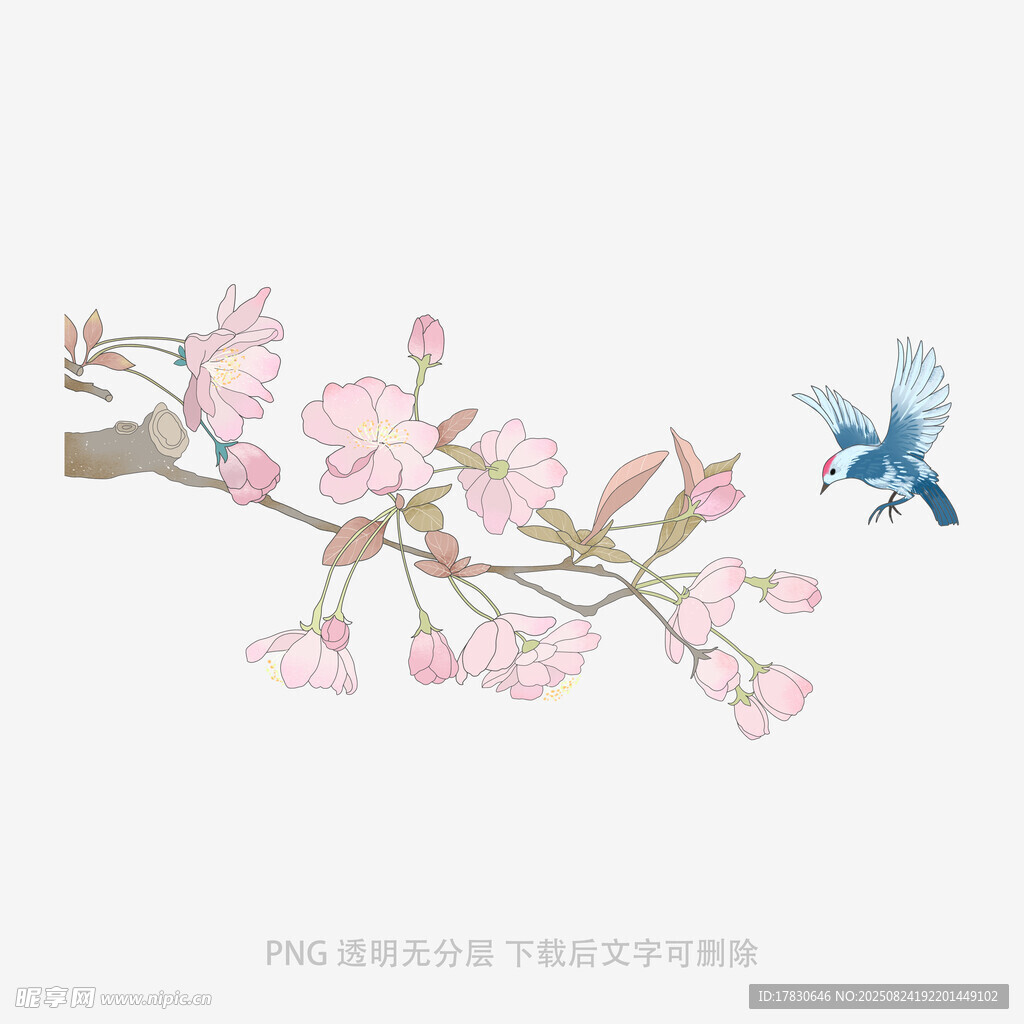 枝頭粉櫻與飛鳥