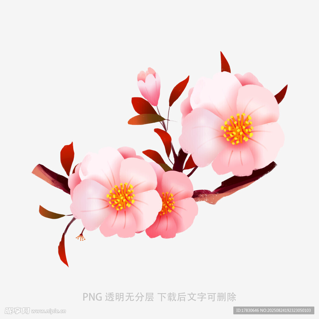 粉色花卉花枝插畫