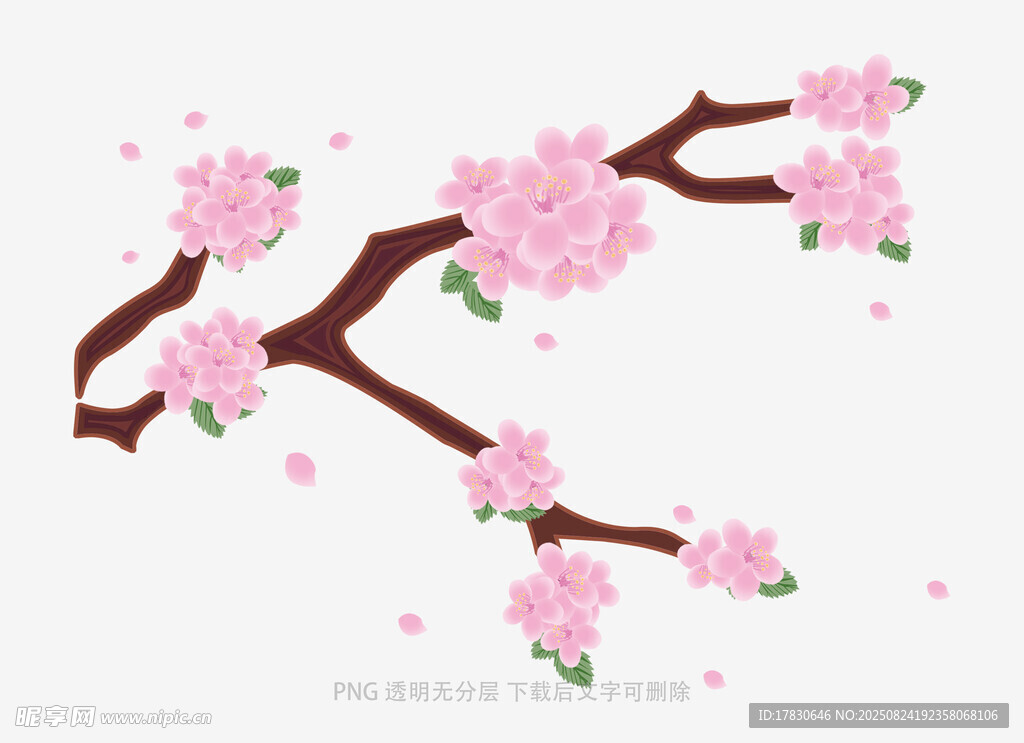 粉色桃花枝插畫