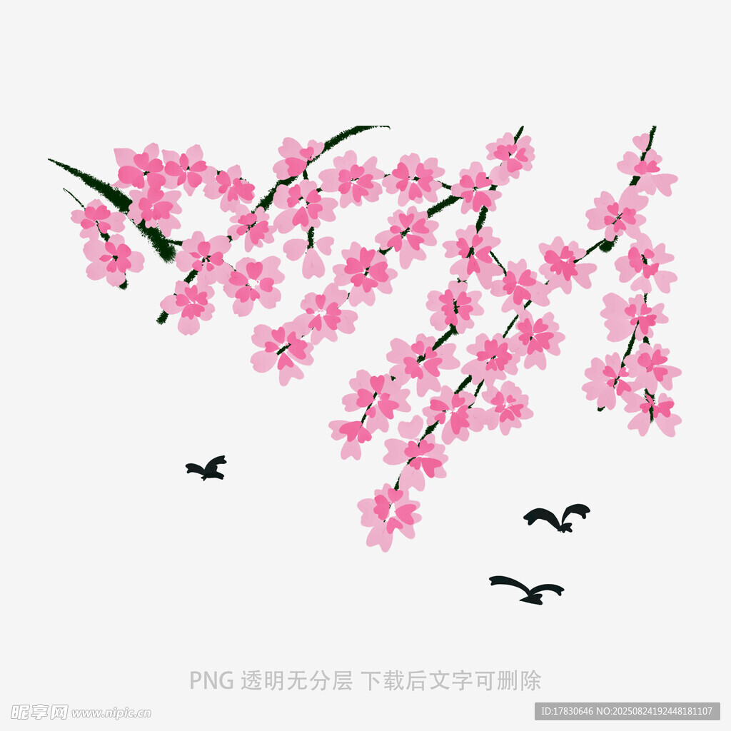 枝頭粉櫻伴飛鳥