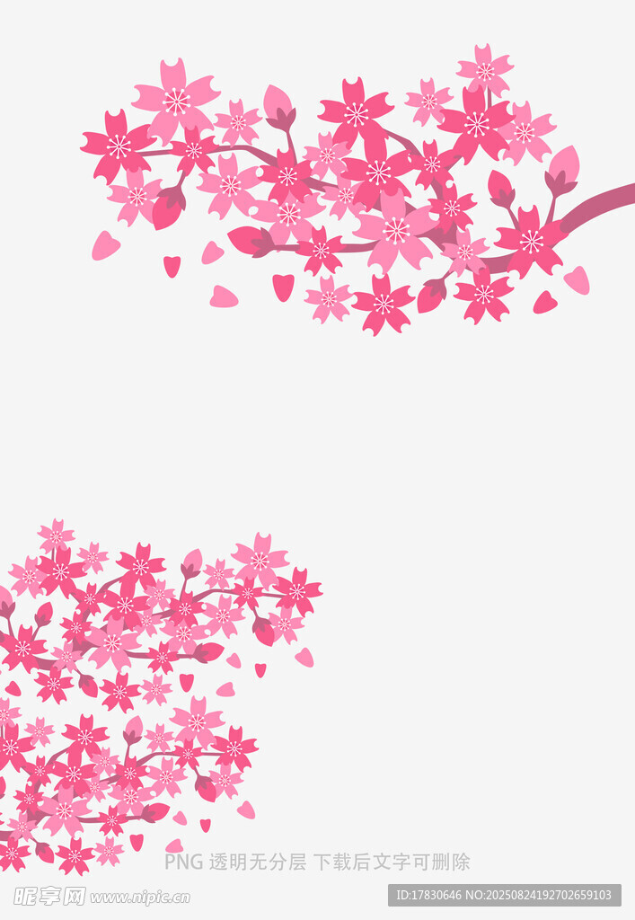 粉色櫻花枝插畫圖案