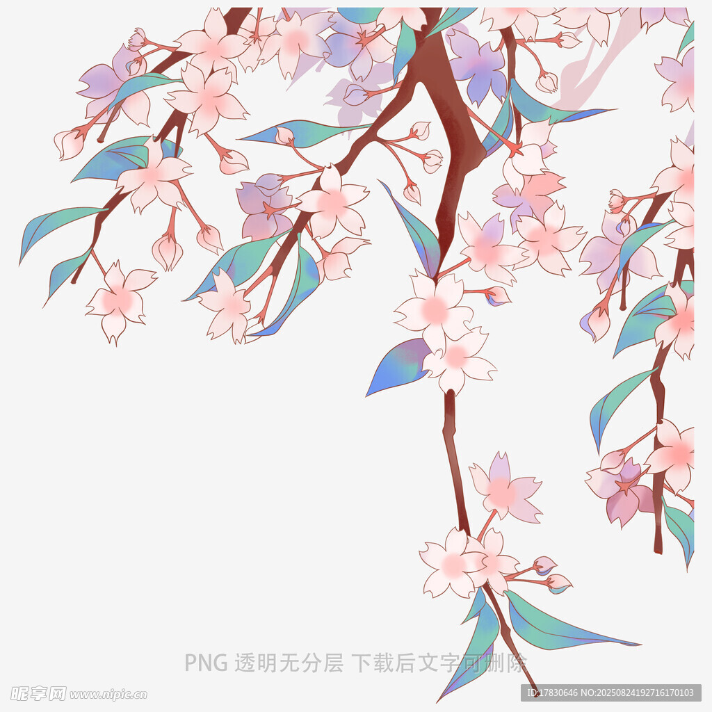 手繪唯美盛開(kāi)的粉色花枝