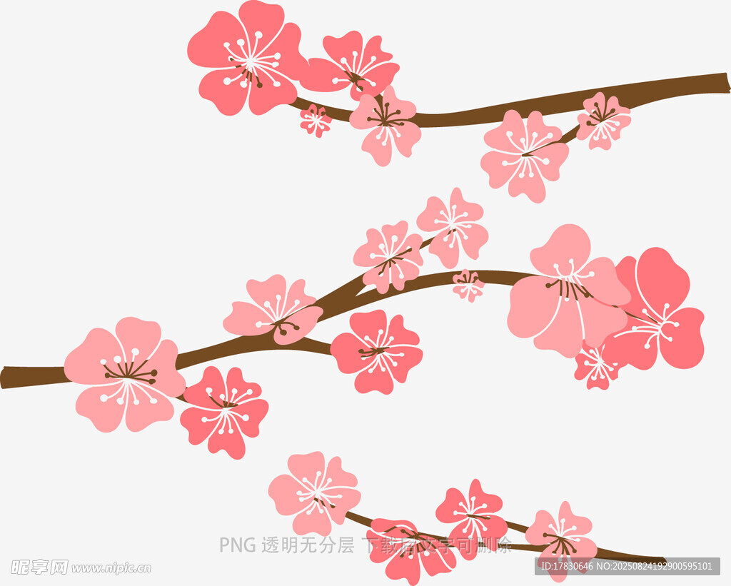 粉色櫻花枝插畫