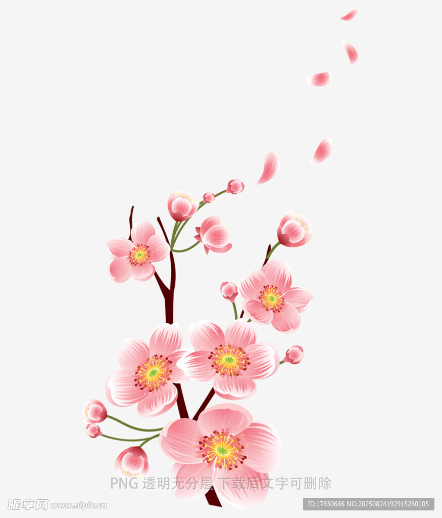 粉色梅花綻放插畫