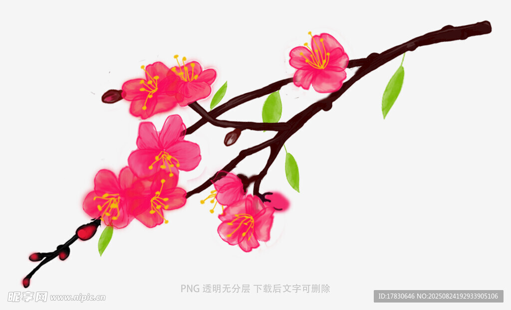 枝頭綻放的嬌艷粉色桃花