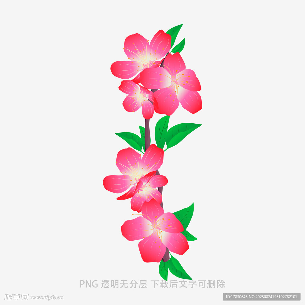 粉色花朵綠葉垂直裝飾圖