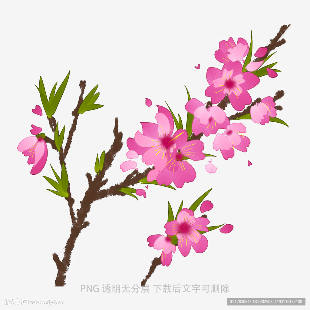 粉色桃花枝插畫