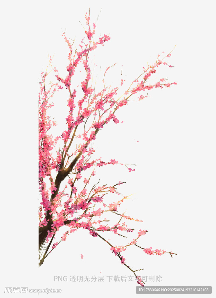 粉色花枝綻放