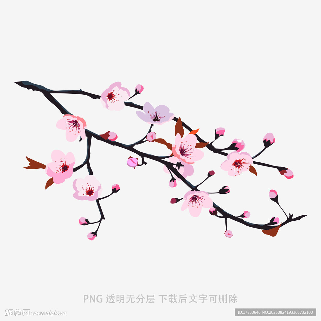 粉色桃花枝特寫