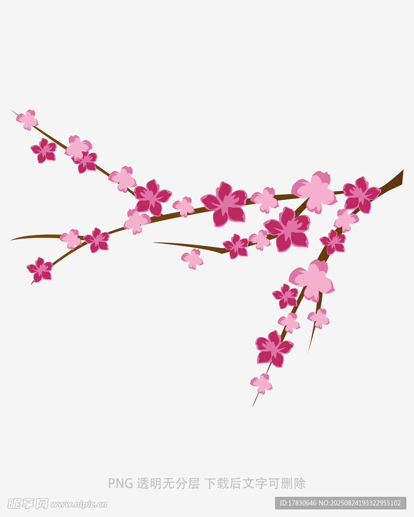 粉色花枝插畫