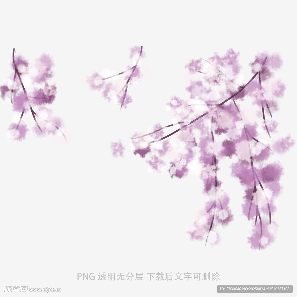 淡紫色櫻花枝條圖案素材
