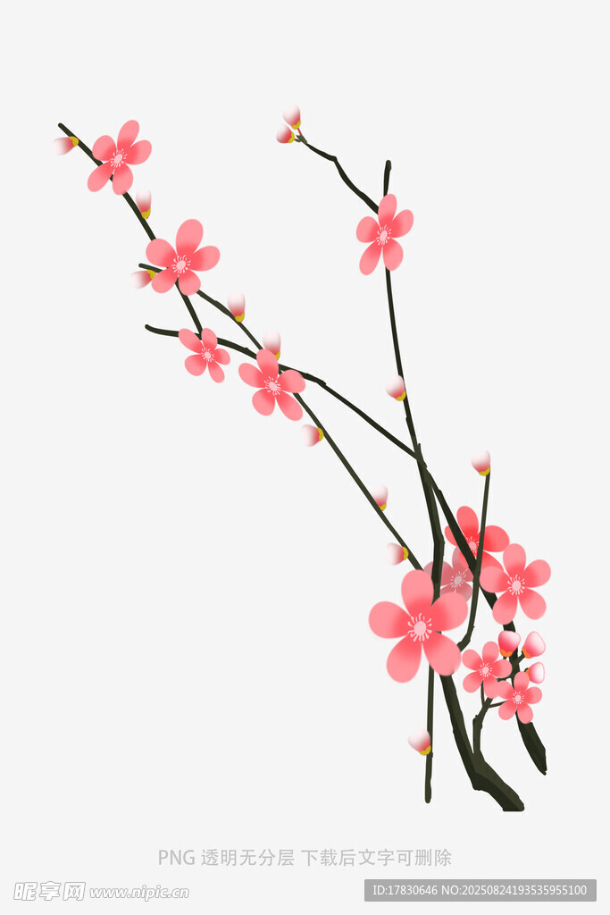 粉色桃花枝特寫