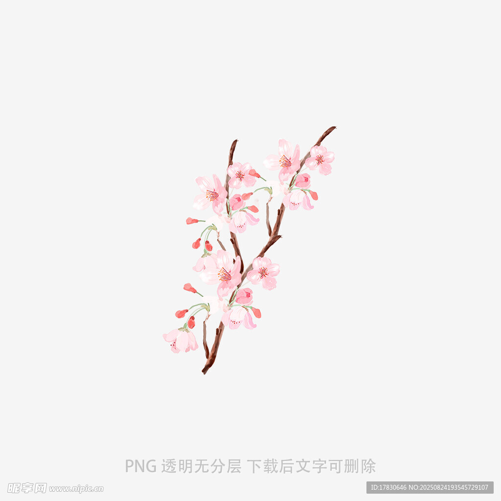 手繪粉色桃花枝