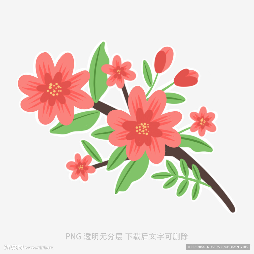 枝頭綻放的鮮艷花朵