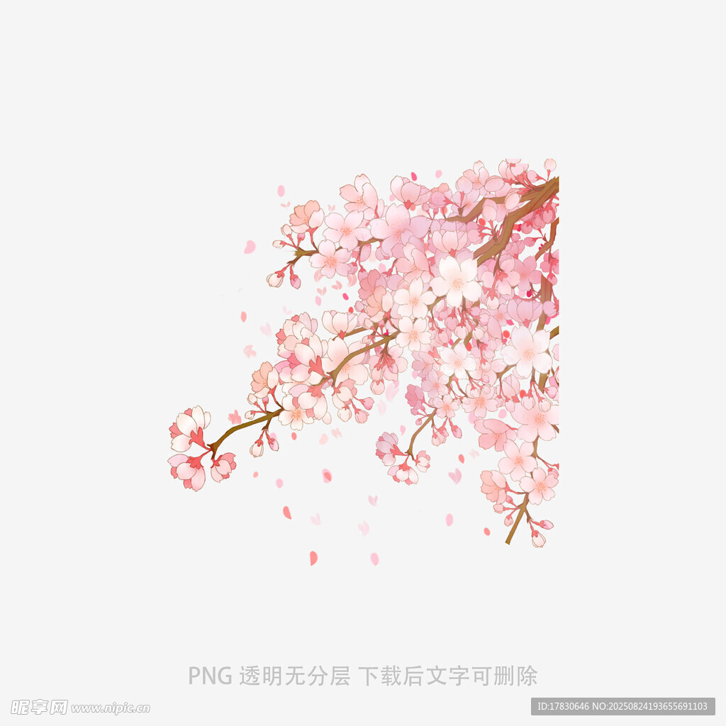 唯美粉色櫻花枝