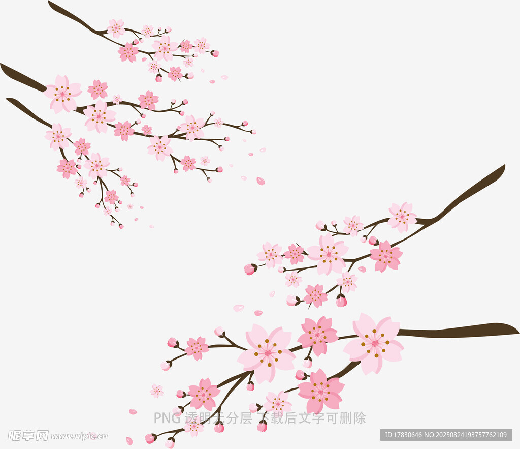 粉色桃花枝插畫