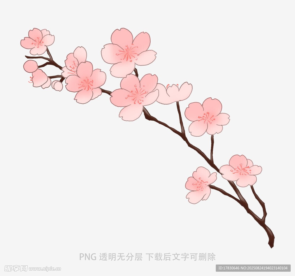 粉色桃花枝插畫