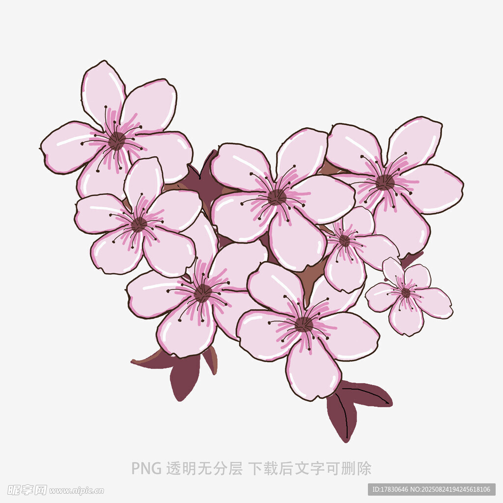 手繪粉色櫻花花枝插畫