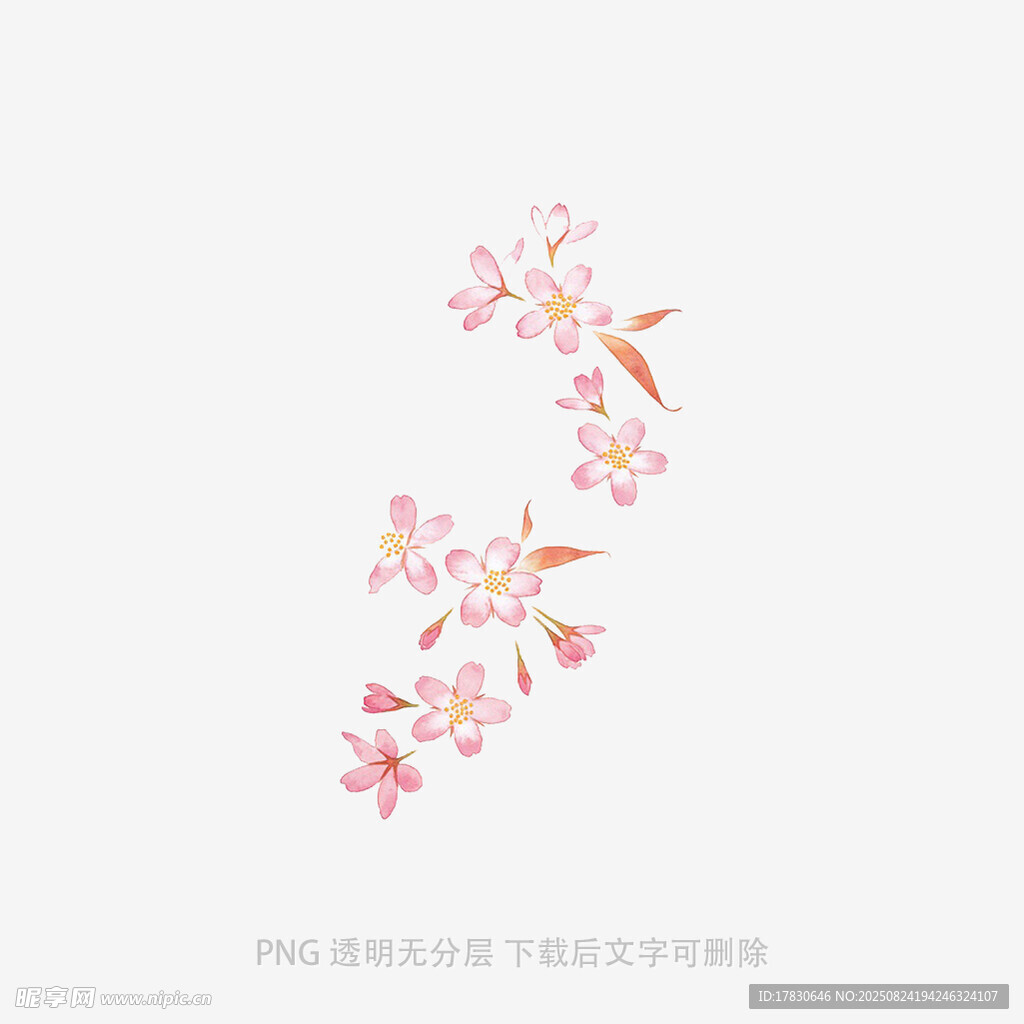 手繪粉色櫻花花朵圖案