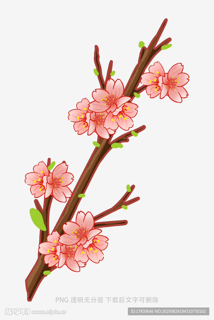 粉色桃花枝插畫