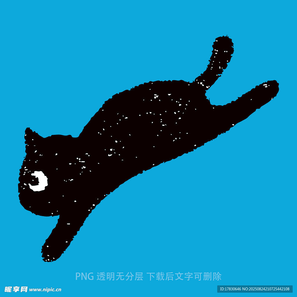 躍起的黑貓
