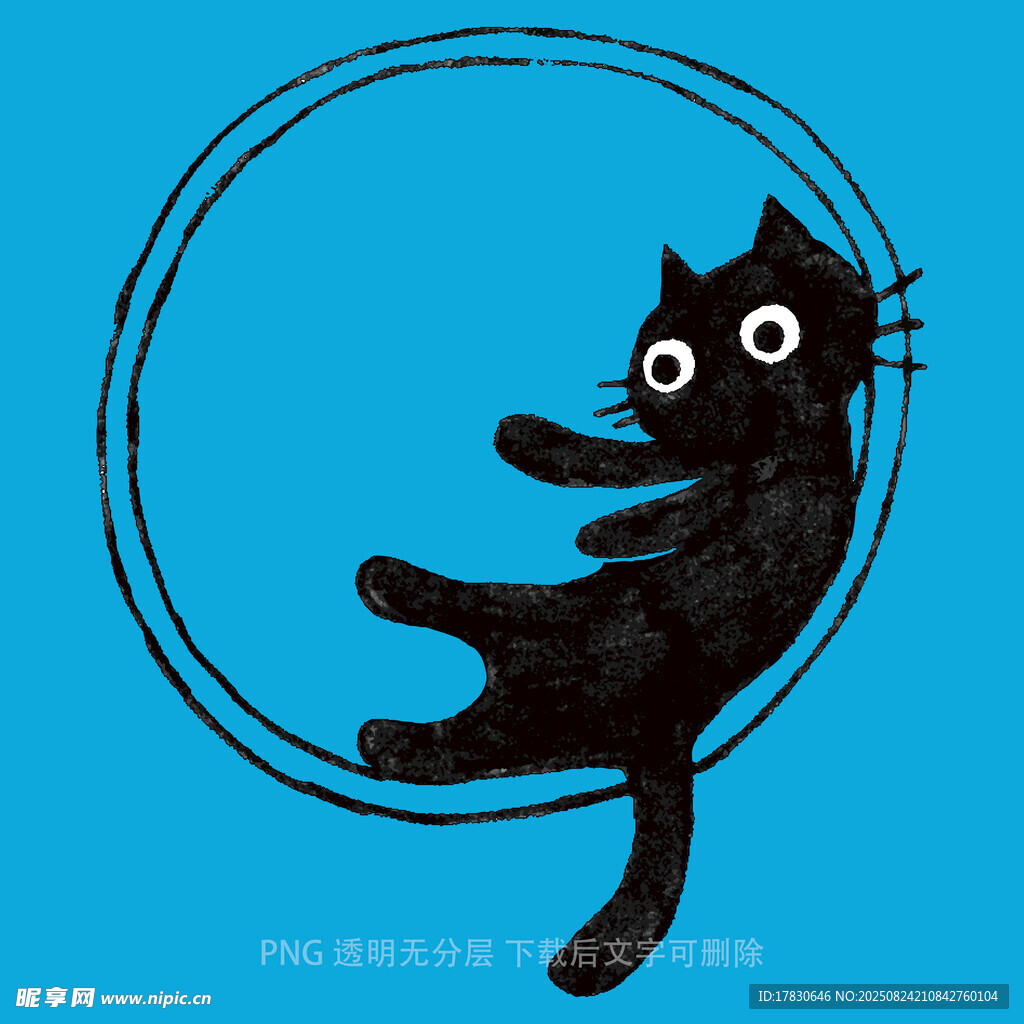 黑貓在圓環(huán)中俏皮姿態(tài)