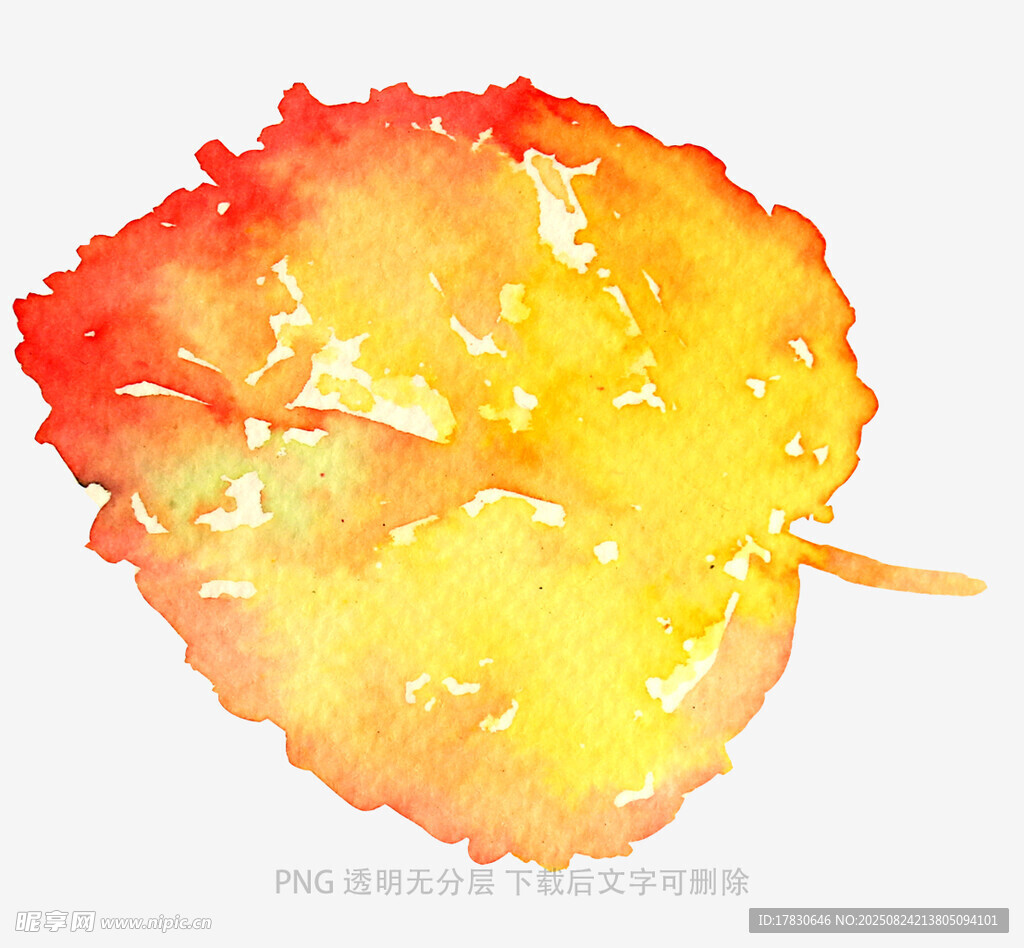 水彩繪就的絢麗秋葉